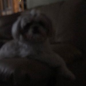 Meet your Posher, Lidia